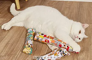 pet-supplies-shipping-from-china