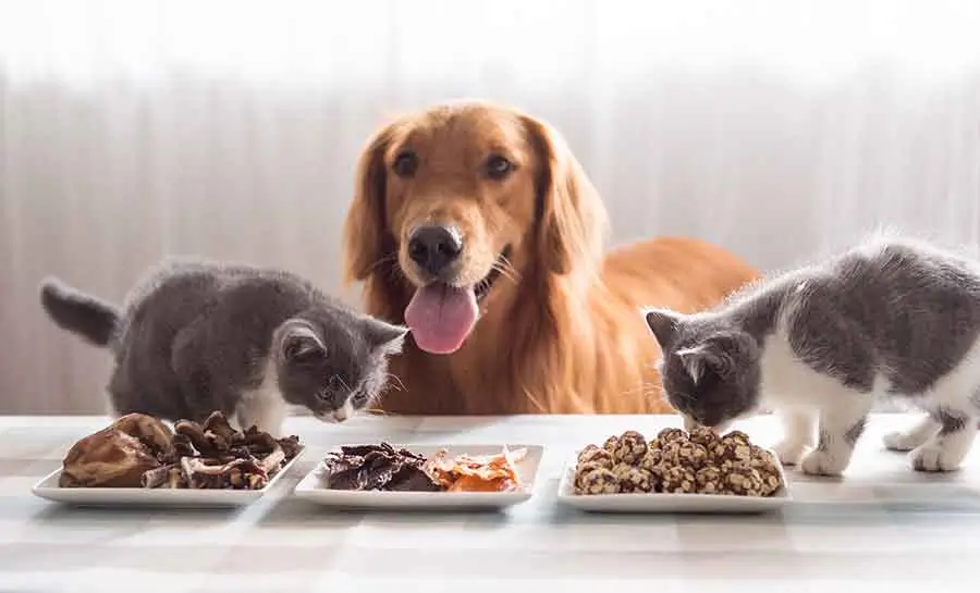 pet-supplies