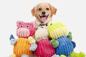shipping-pet-products-from-China (1)