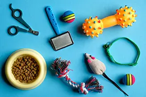 wholesale-pet-supplies-shipping (1)